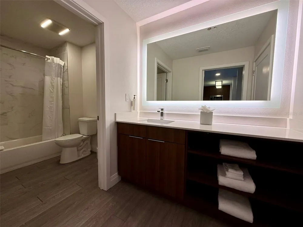 14501 GROVE RESORT AVE #2413 Winter Garden, FL 34787