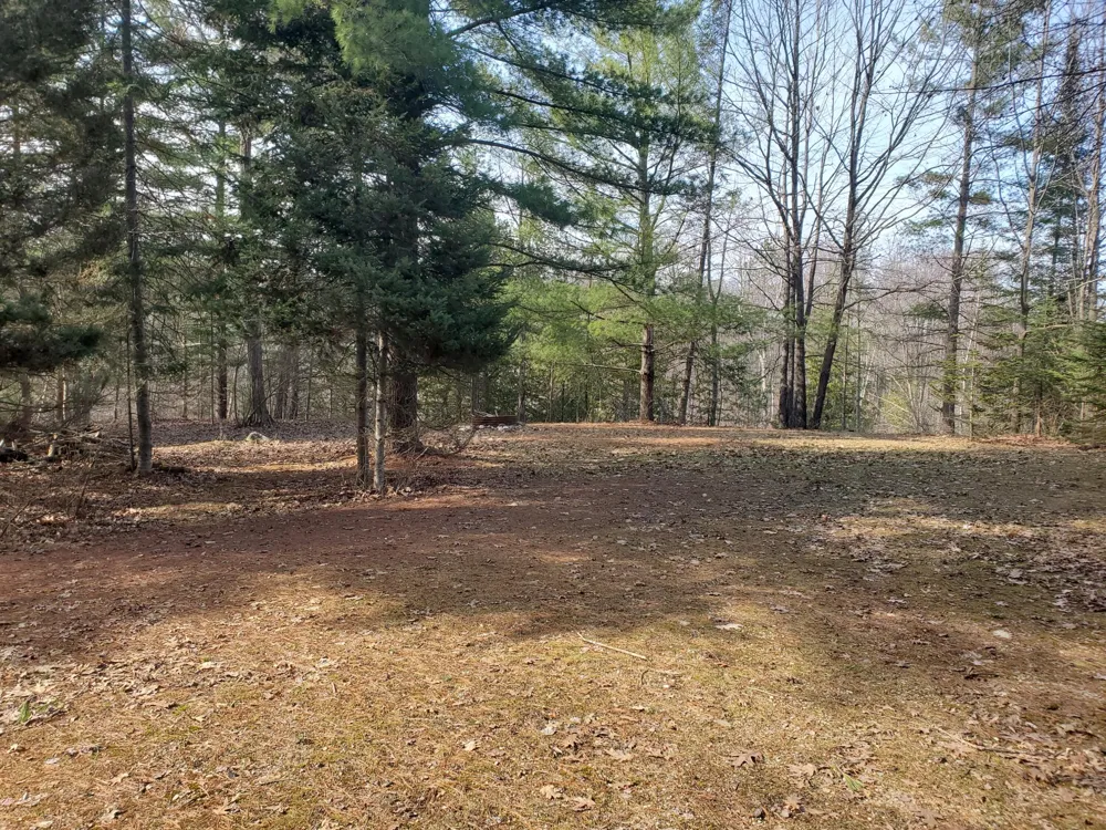 Eagles Nest Way Gladwin, MI 48624