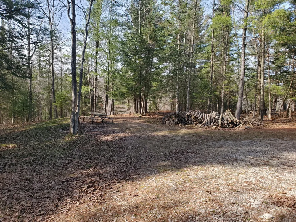 Eagles Nest Way Gladwin, MI 48624