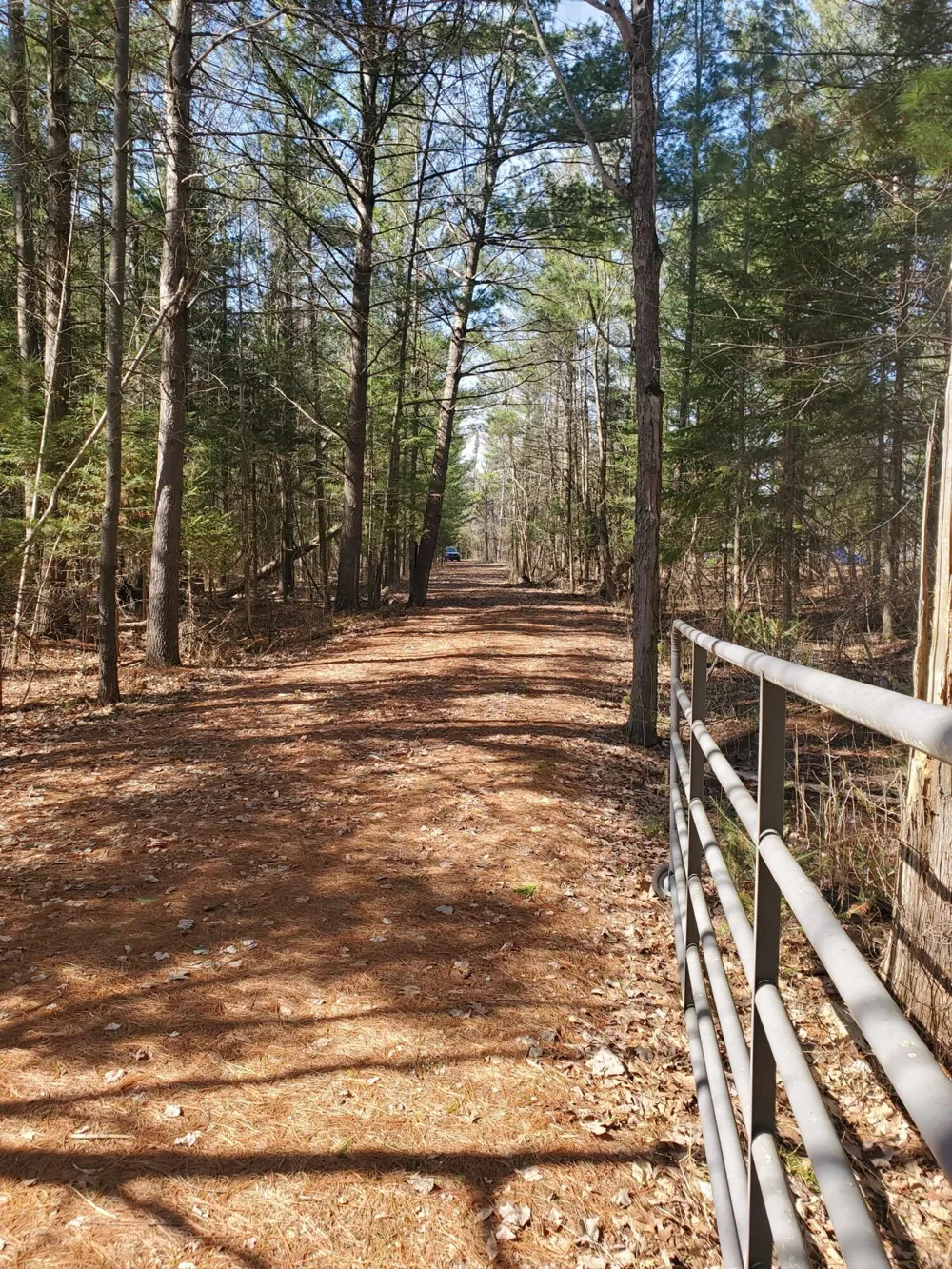 Eagles Nest Way Gladwin, MI 48624