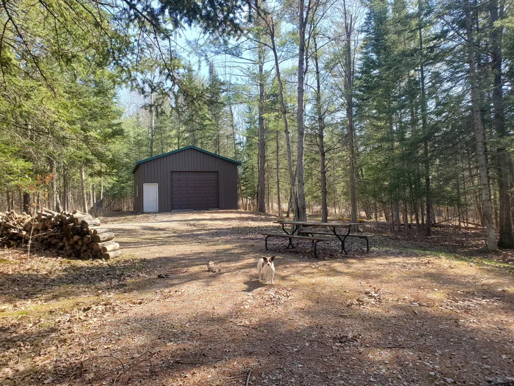 Eagles Nest Way Gladwin, MI 48624