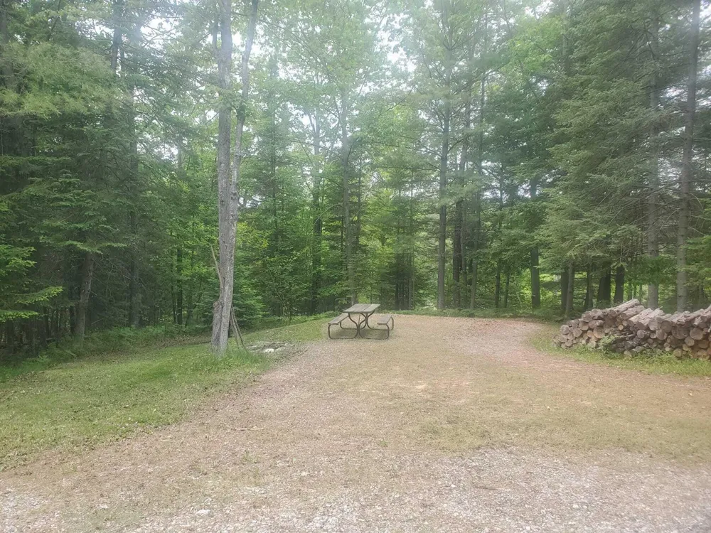 Eagles Nest Way Gladwin, MI 48624