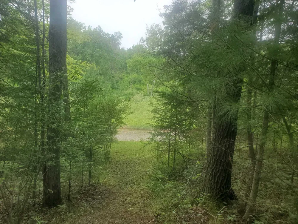 Eagles Nest Way Gladwin, MI 48624