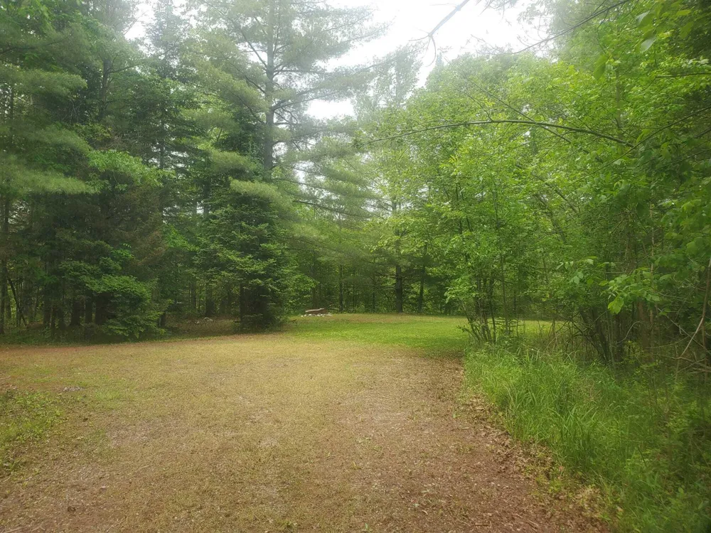 Eagles Nest Way Gladwin, MI 48624