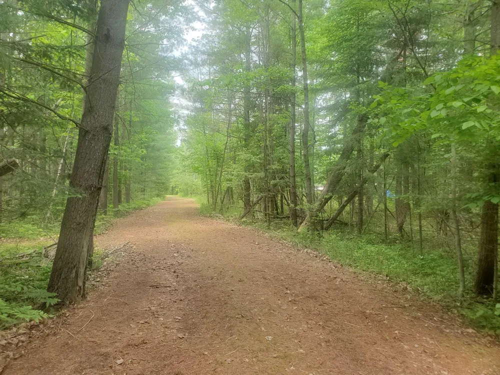 Eagles Nest Way Gladwin, MI 48624
