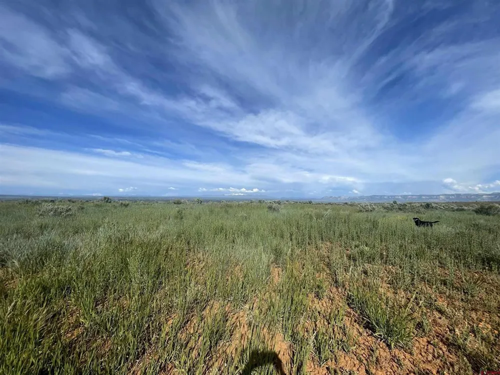 13076 Road 17.9 Cortez, CO 81321