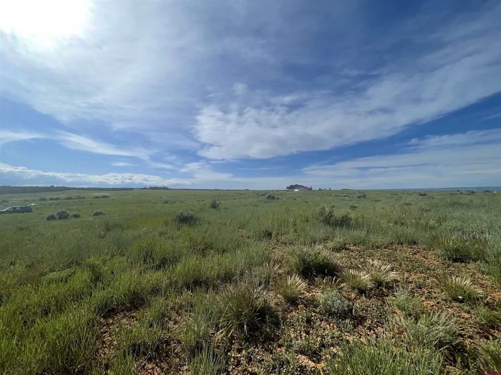 13076 Road 17.9 Cortez, CO 81321