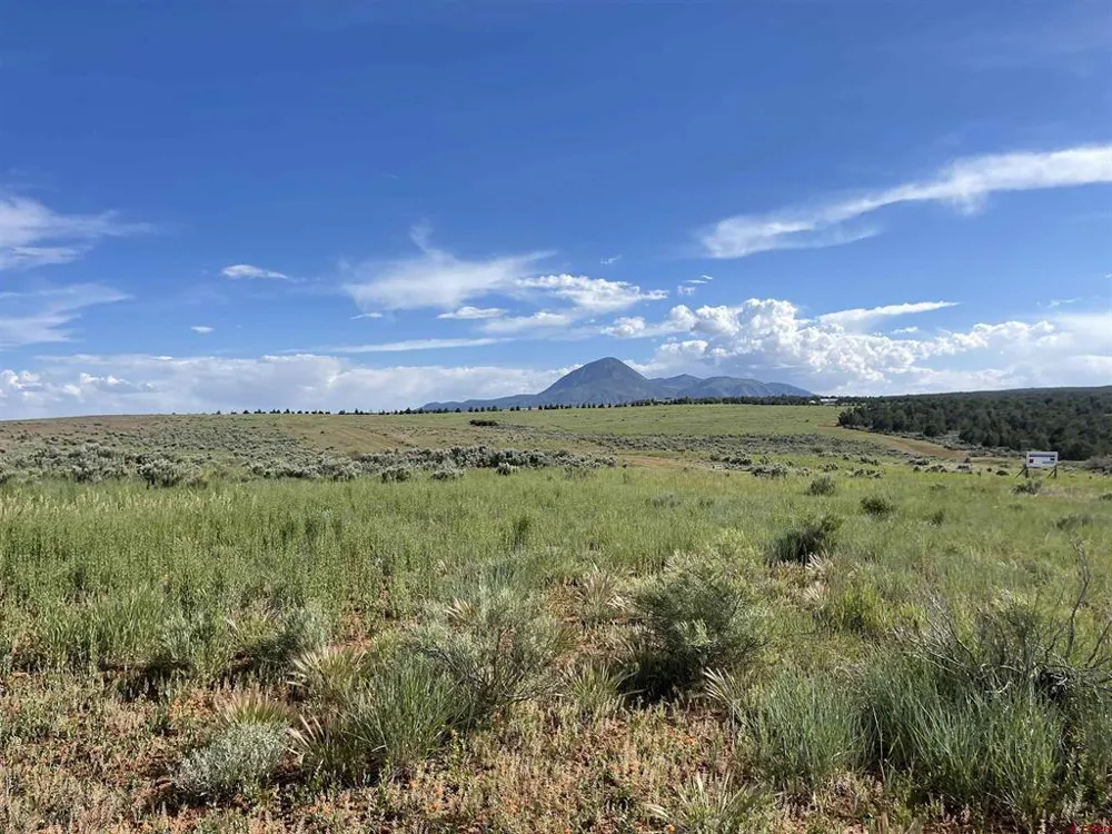 13076 Road 17.9 Cortez, CO 81321