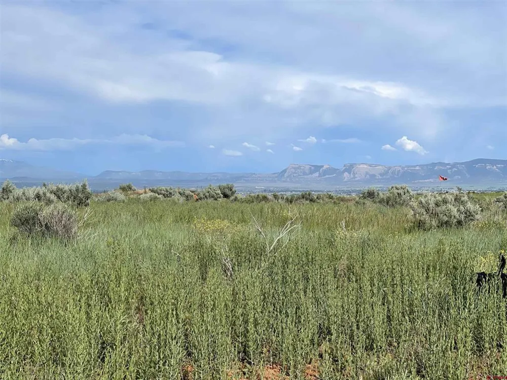 13076 Road 17.9 Cortez, CO 81321