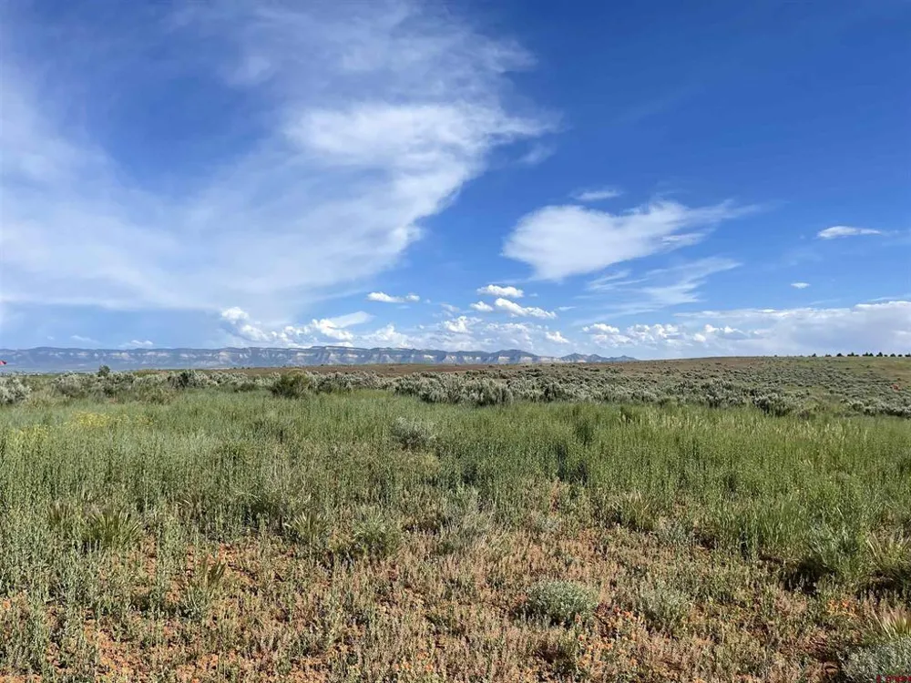 13076 Road 17.9 Cortez, CO 81321