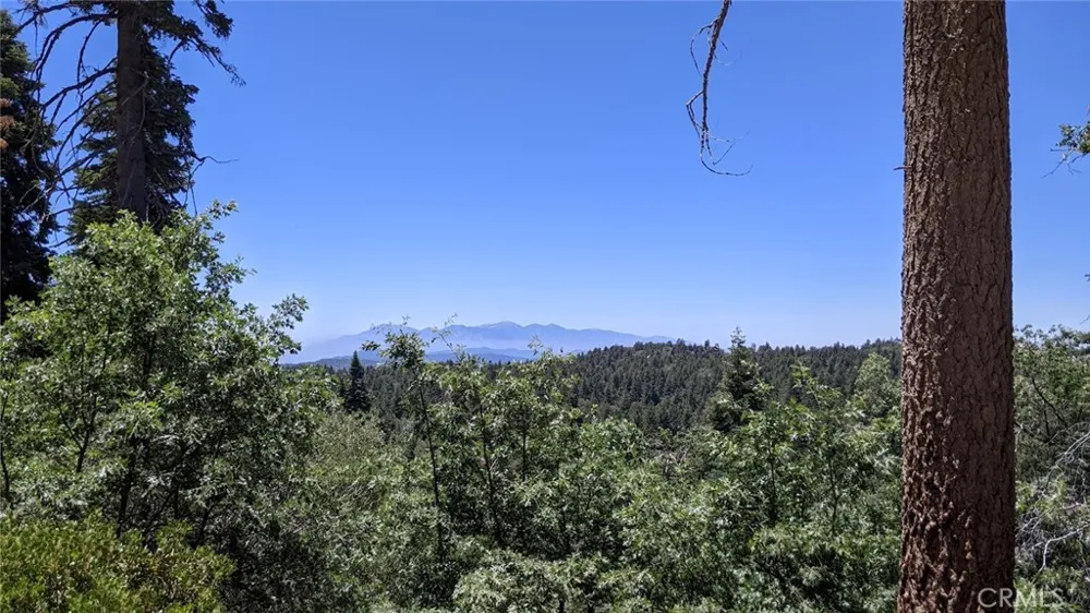 San Antonio Drive Green Valley Lake, CA 92341