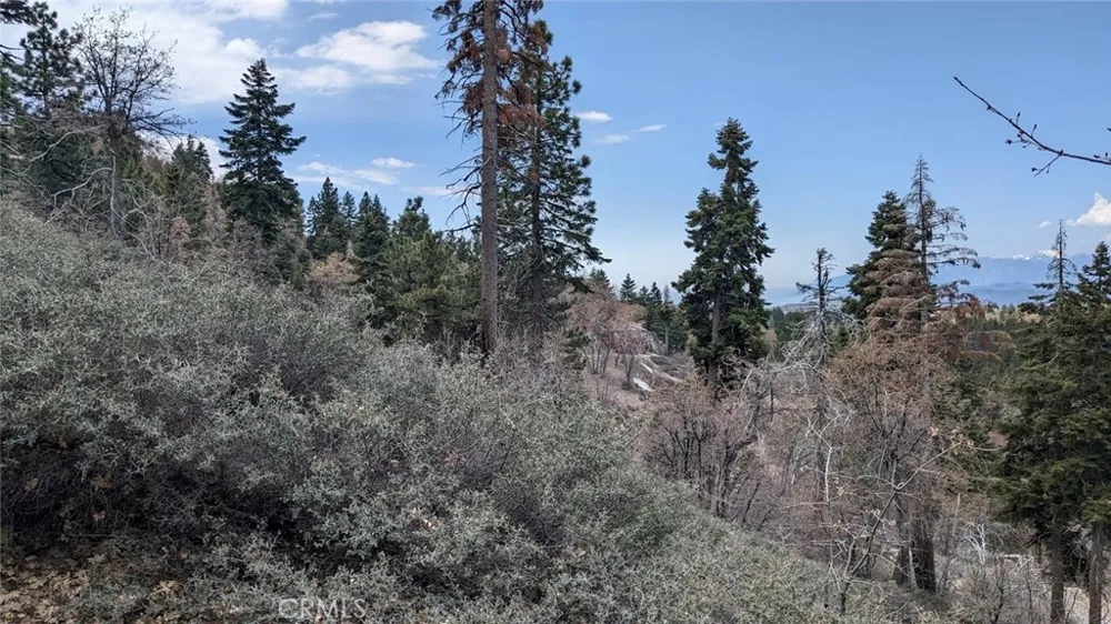 San Antonio Drive Green Valley Lake, CA 92341