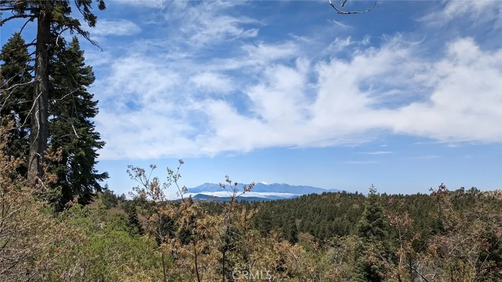 San Antonio Drive Green Valley Lake, CA 92341