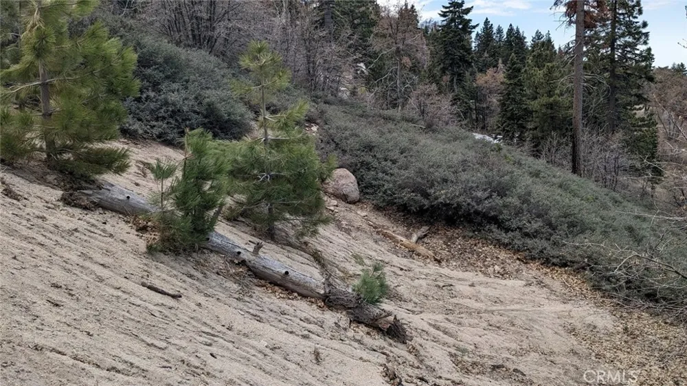 San Antonio Drive Green Valley Lake, CA 92341