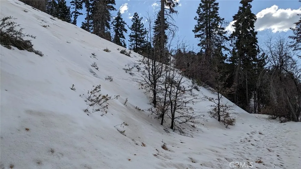 San Antonio Drive Green Valley Lake, CA 92341