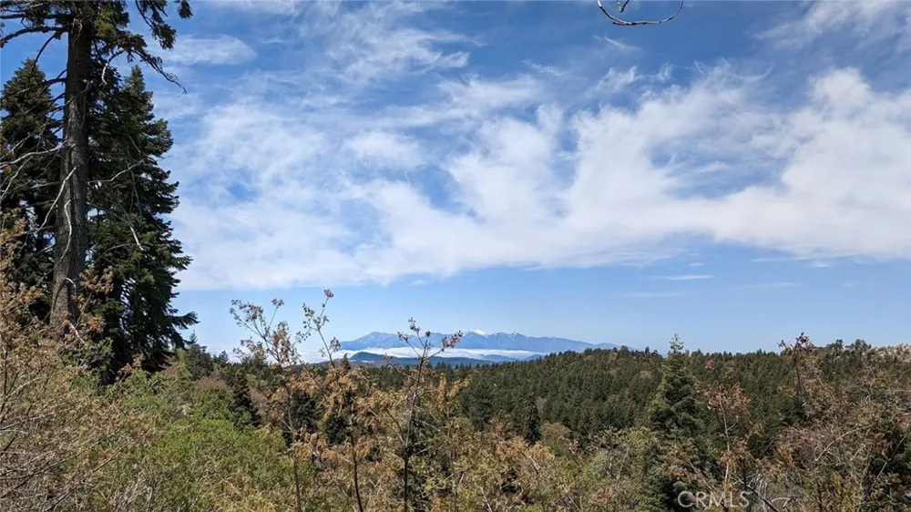 San Antonio Drive Green Valley Lake, CA 92341