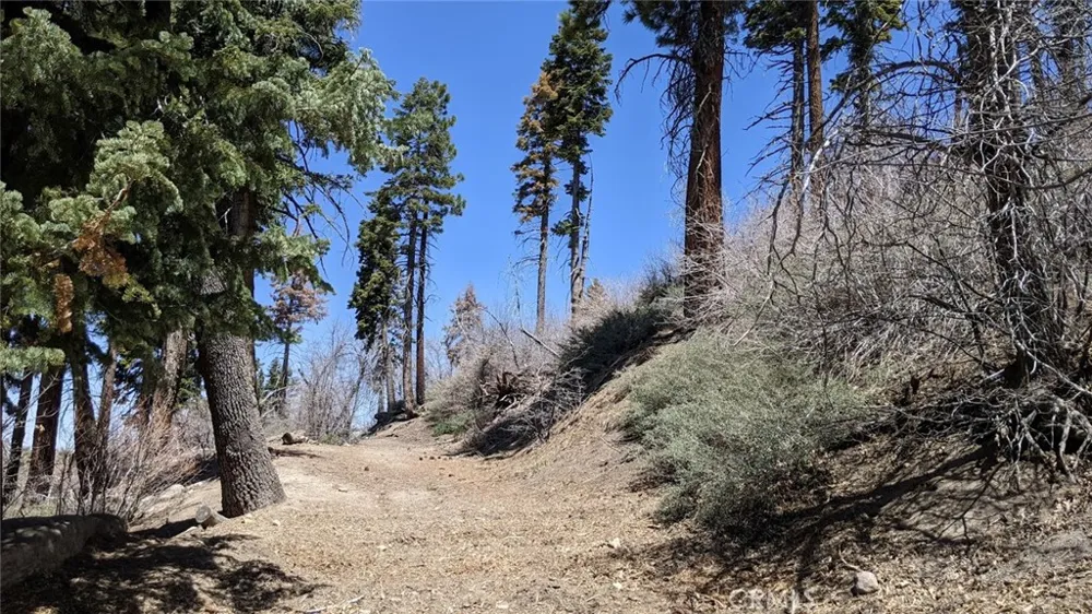 San Antonio Drive Green Valley Lake, CA 92341