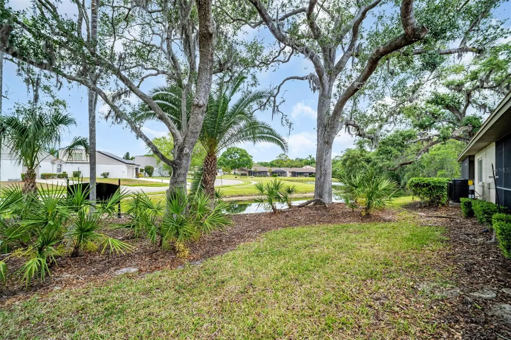 120 EVELYN COURT Oldsmar, FL 34677