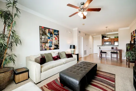 2299 Lone Star Drive #411