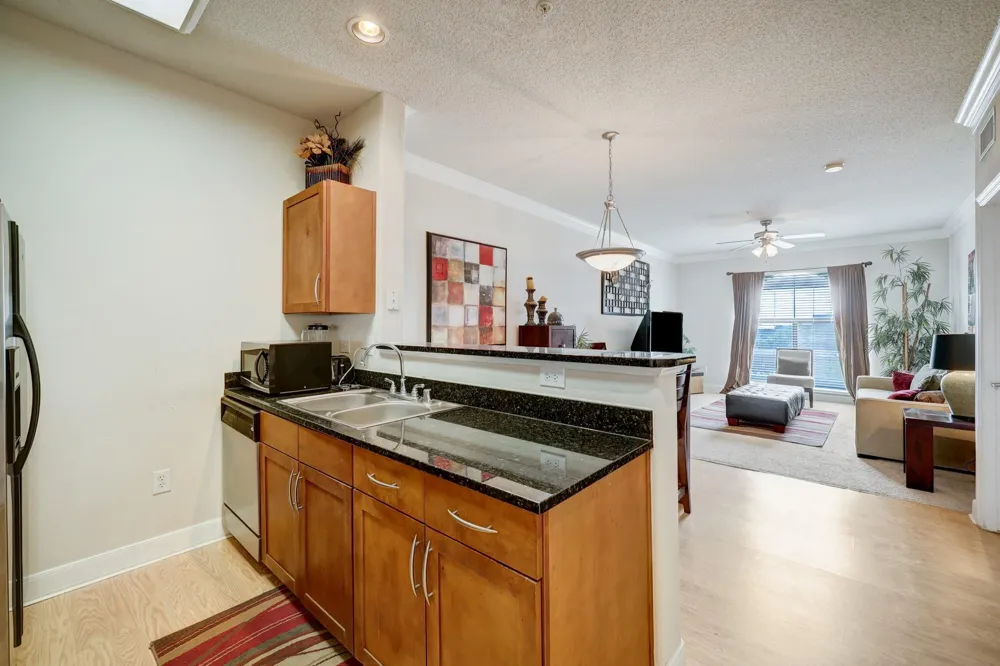 2299 Lone Star Drive #411 Sugar Land, TX 77479