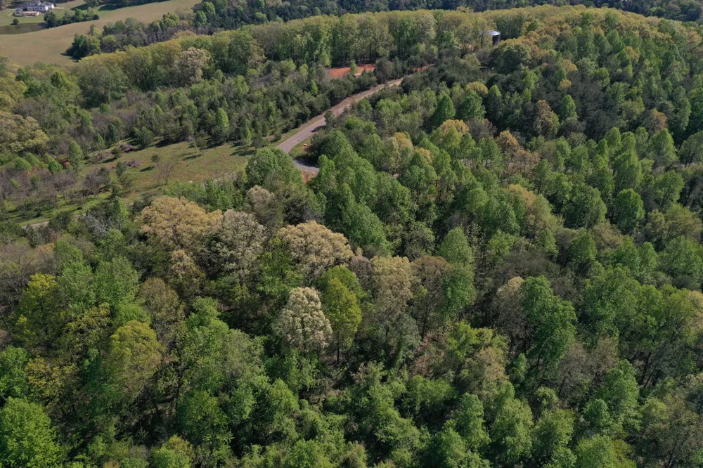 0 Elm Lane Sweetwater, TN 37874