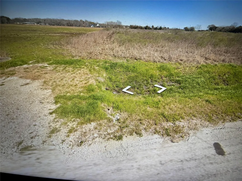 Fm-2919 Beasley, TX 77417