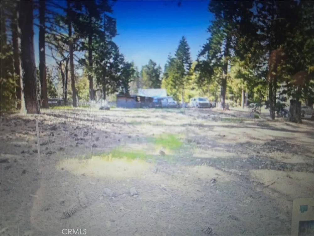 Pine Ridge Road Pine Cove, CA 92548
