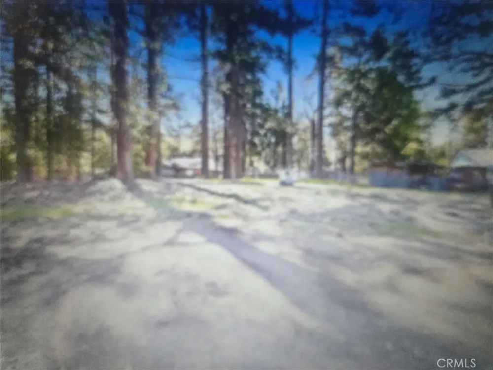 Pine Ridge Road Pine Cove, CA 92548