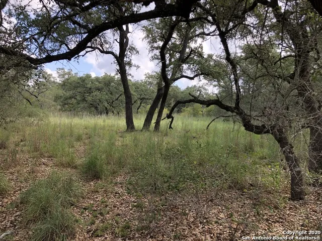 LOT 6 & 7 OAK LN Poteet, TX 78065