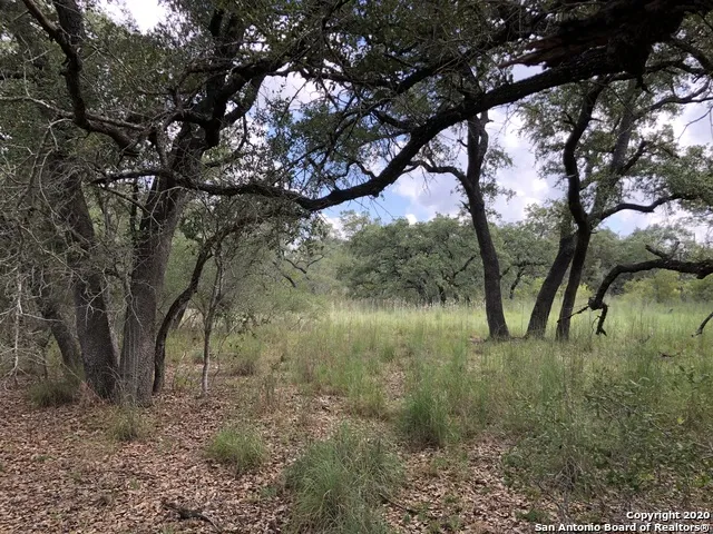 LOT 6 & 7 OAK LN Poteet, TX 78065