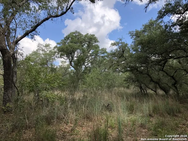 LOT 6 & 7 OAK LN Poteet, TX 78065