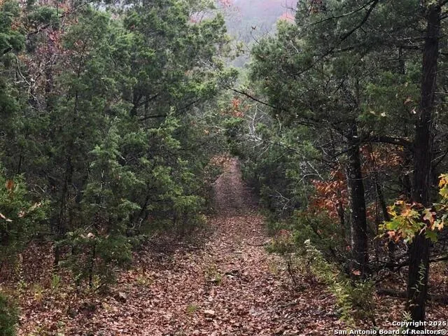 776 County Road 270 Mico, TX 78056