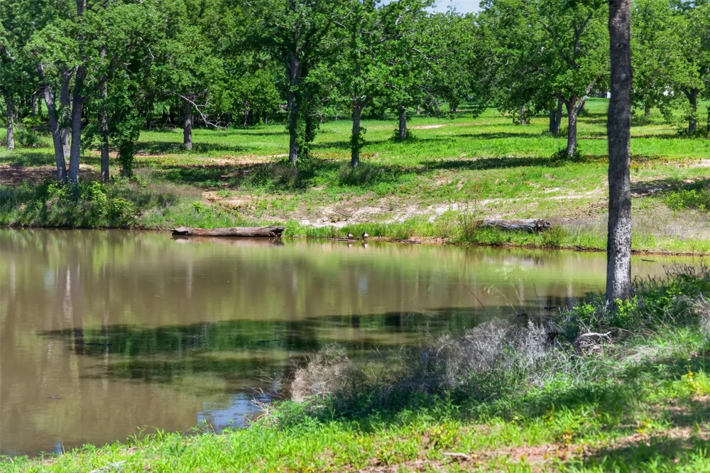 County Road 1270 Alvord, TX 76225