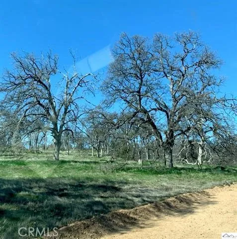 Monroe Red Bluff, CA 96080