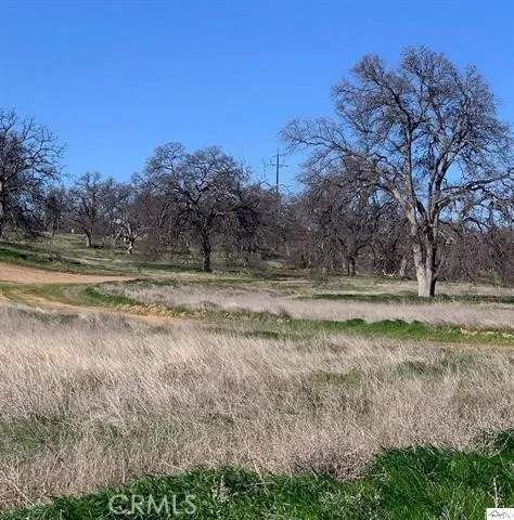 Monroe Red Bluff, CA 96080