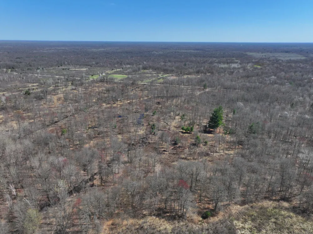 5 Magruder Road Coleman, MI 48618