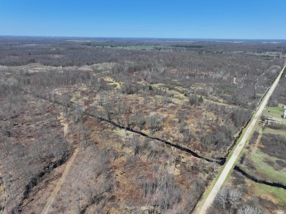 5 Magruder Road Coleman, MI 48618