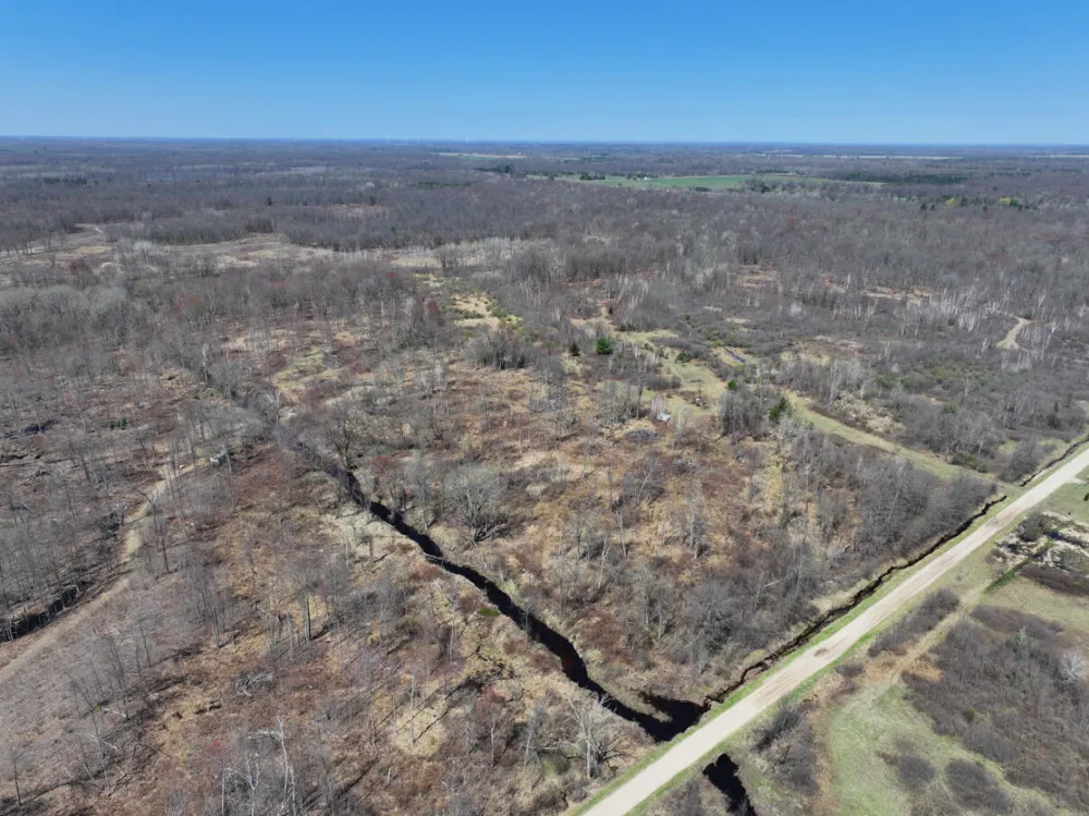 5 Magruder Road Coleman, MI 48618