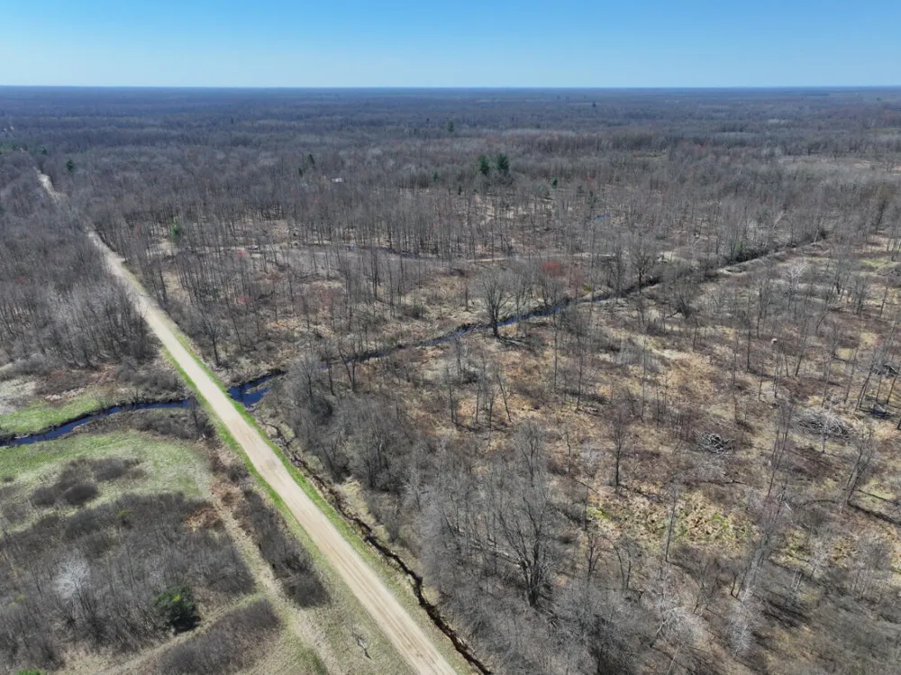 5 Magruder Road Coleman, MI 48618
