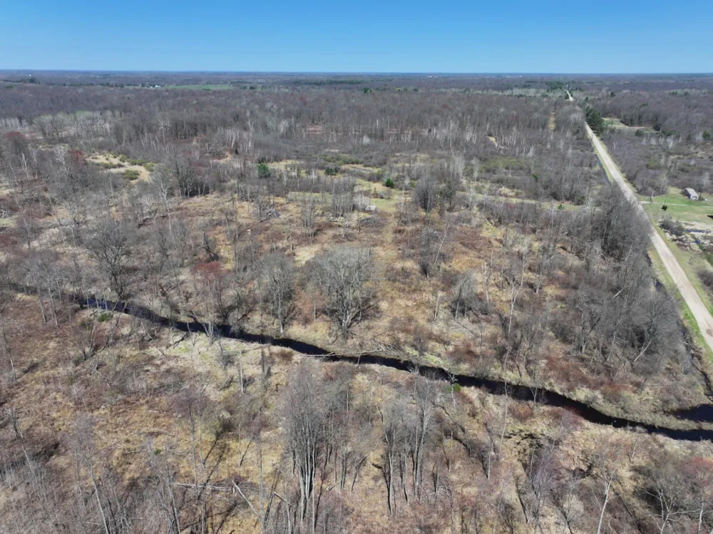5 Magruder Road Coleman, MI 48618