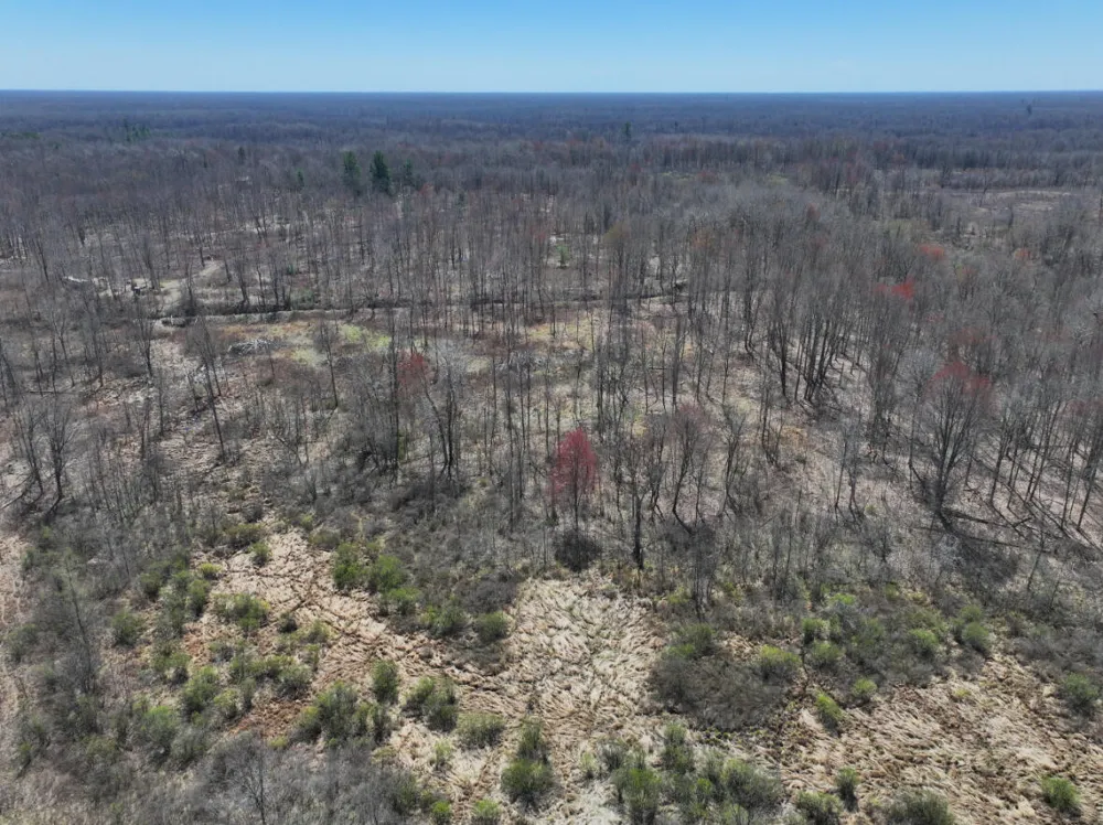 5 Magruder Road Coleman, MI 48618