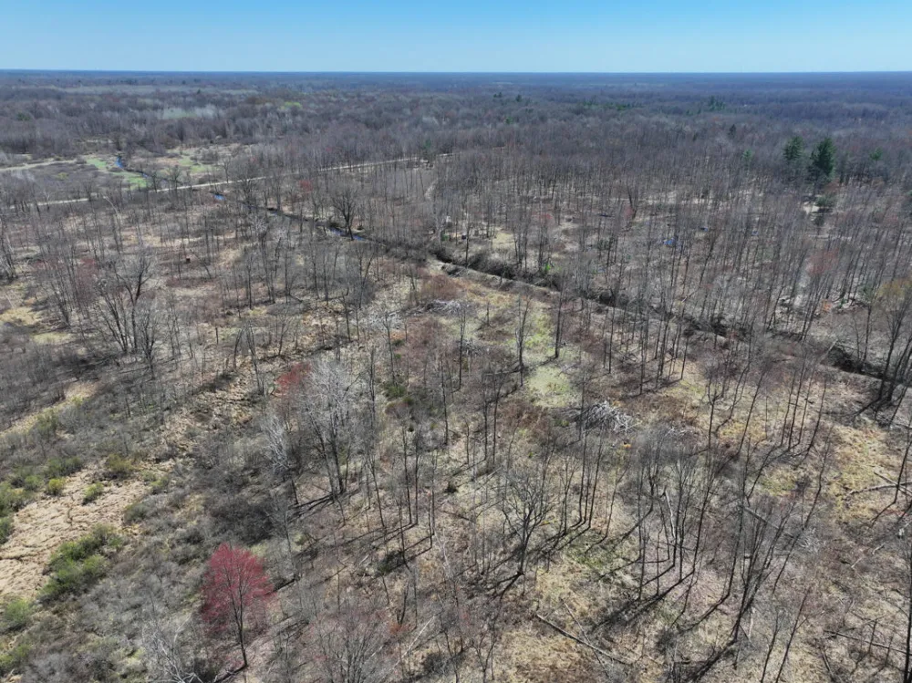 5 Magruder Road Coleman, MI 48618