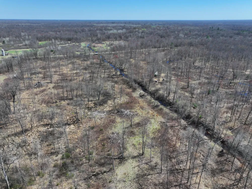 5 Magruder Road Coleman, MI 48618