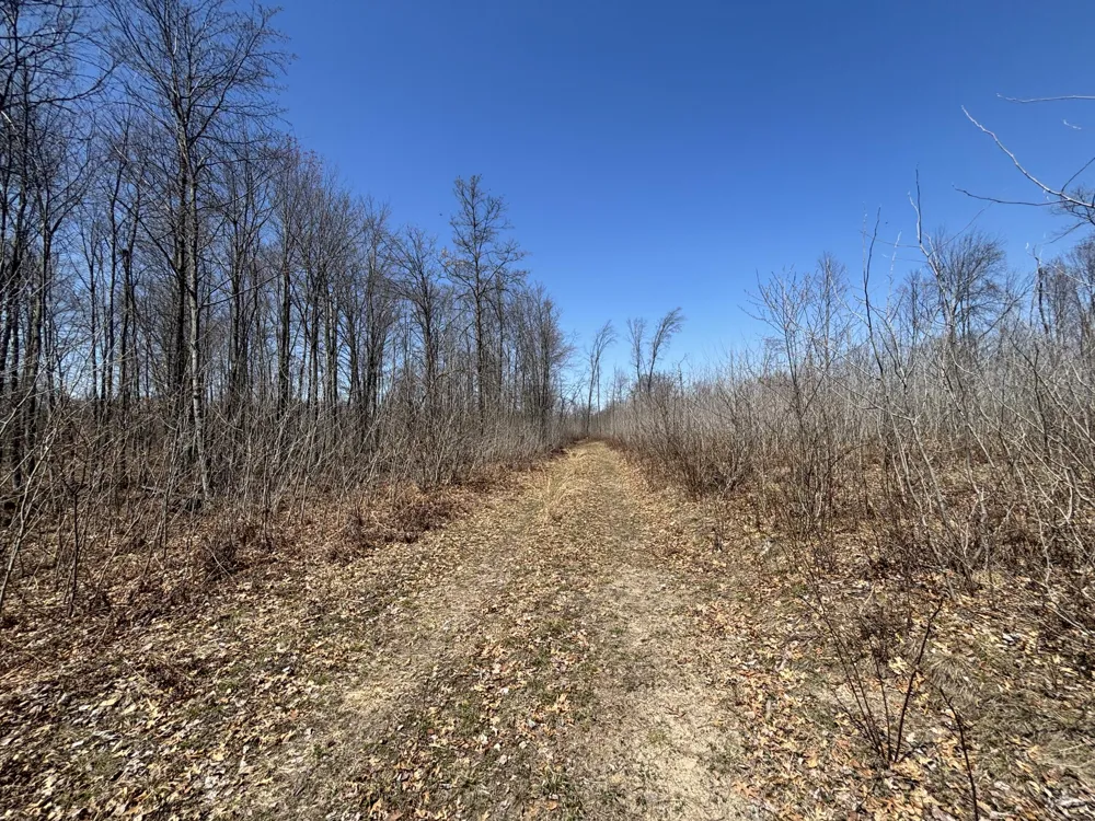 5 Magruder Road Coleman, MI 48618