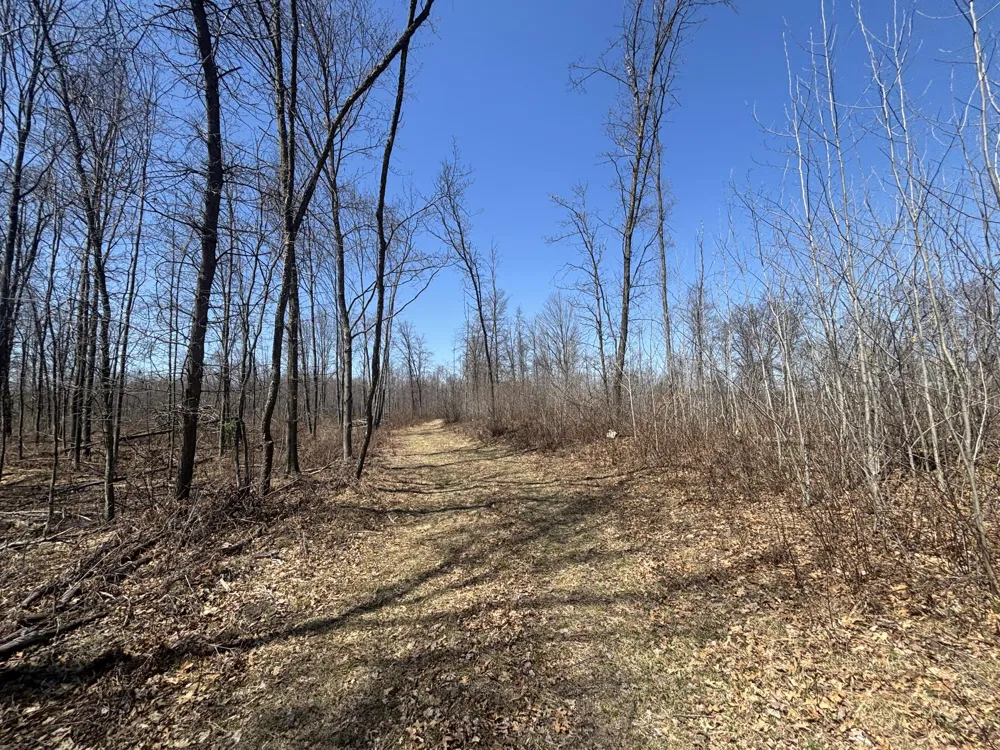 5 Magruder Road Coleman, MI 48618