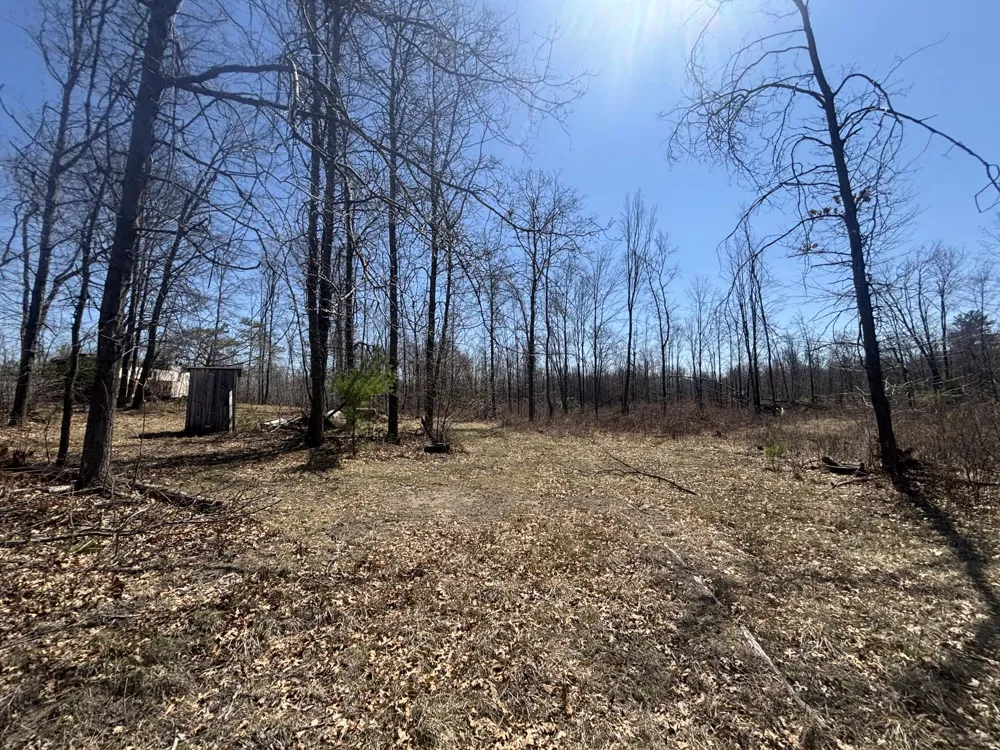 5 Magruder Road Coleman, MI 48618