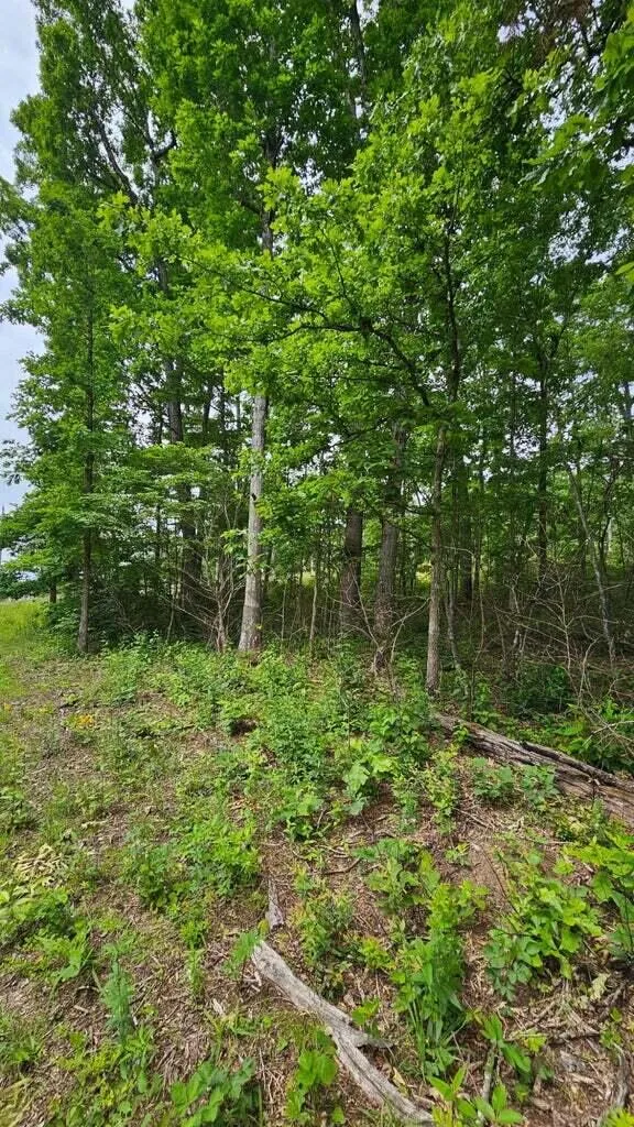 Ashford Crossville, TN 38572