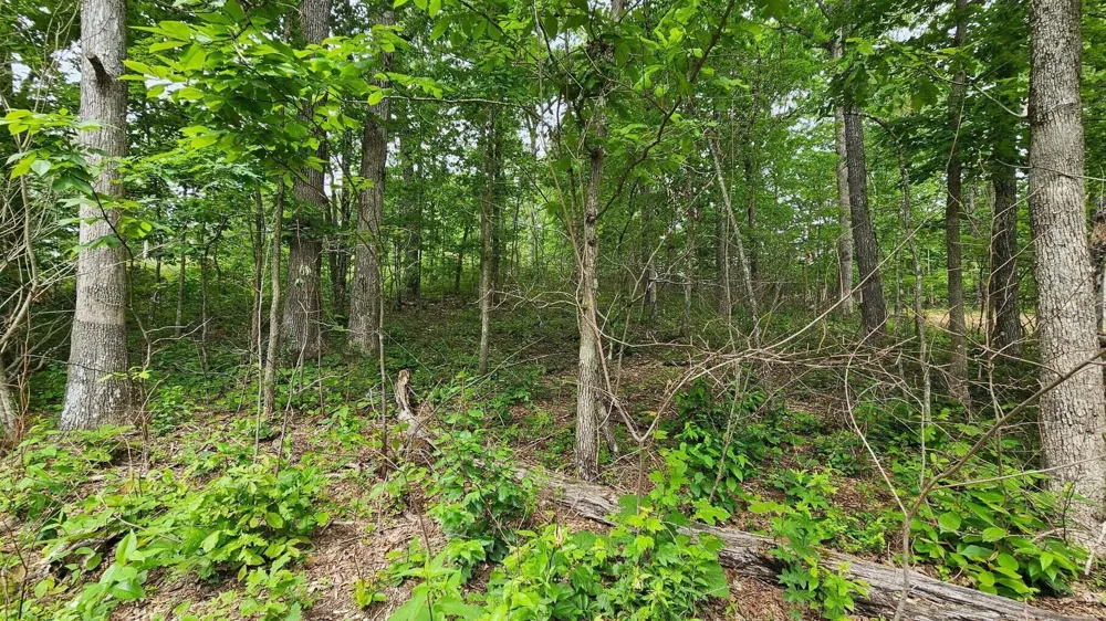 Ashford Crossville, TN 38572