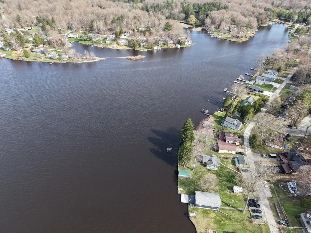 6292 Grace Avenue Hamlin Township, MI 49431