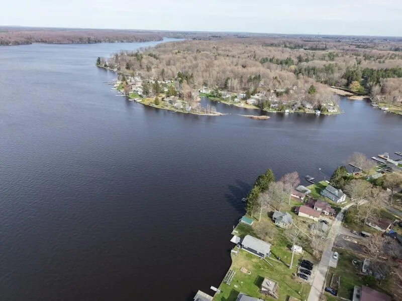 6292 Grace Avenue Hamlin Township, MI 49431